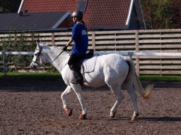 IMG_7104_web